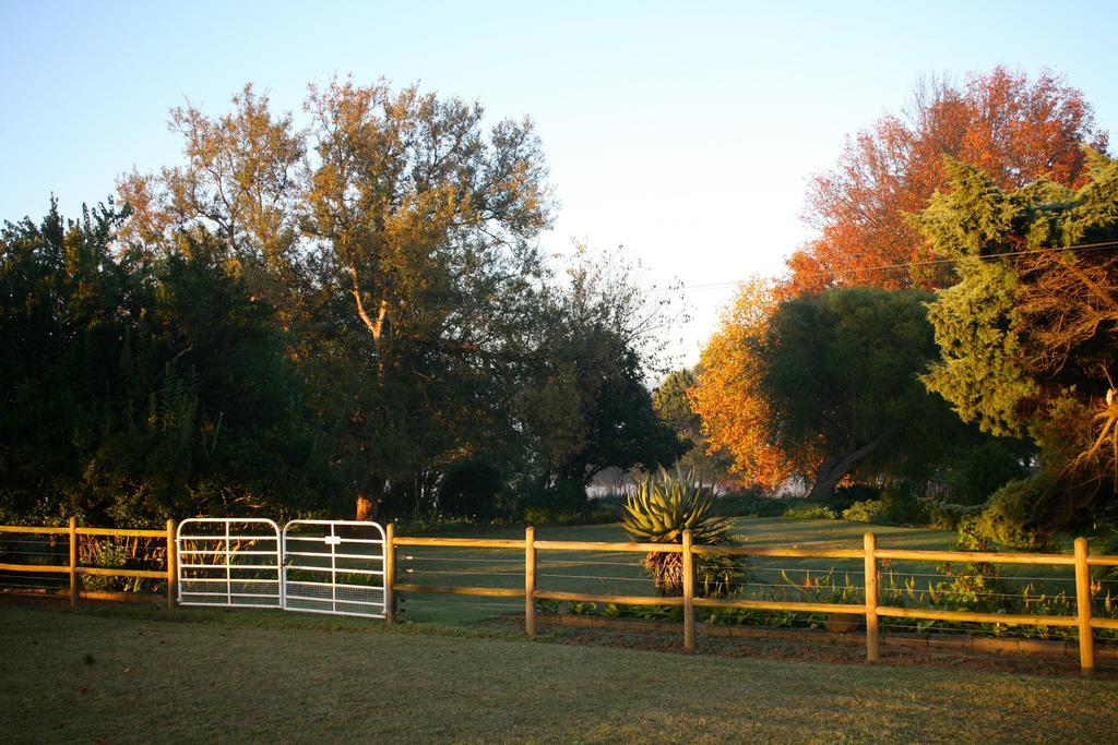 Sneezewood Farm Bed&Breakfast And Self-Catering Cottage Dundee Eksteriør bilde