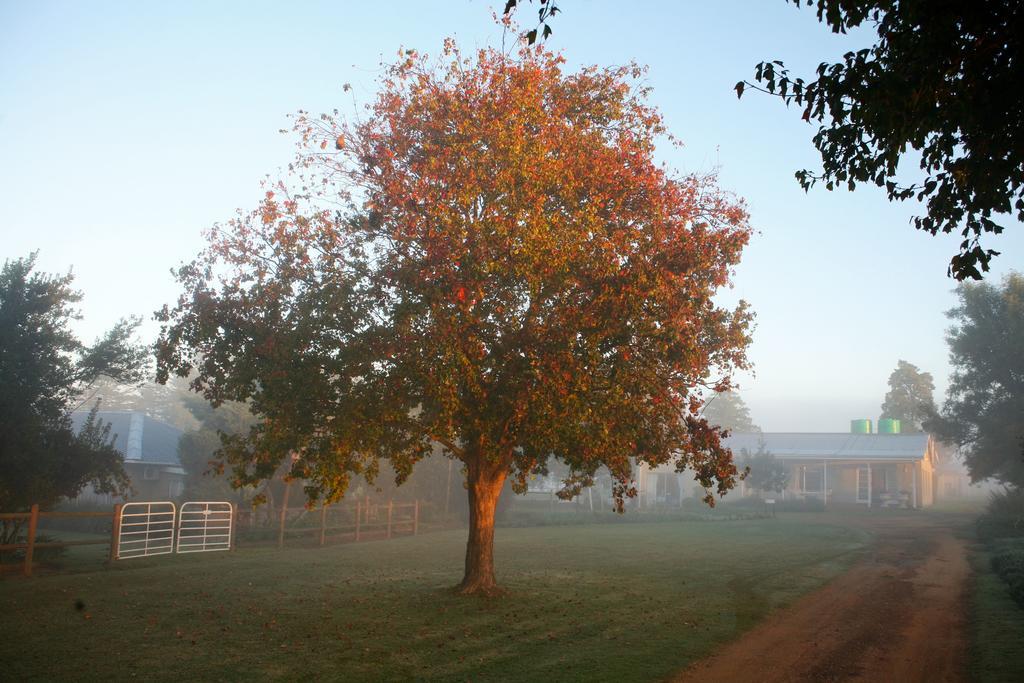 Sneezewood Farm Bed&Breakfast And Self-Catering Cottage Dundee Eksteriør bilde